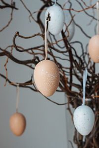 Colored easter eggs on tree branches in vase