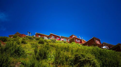 Houses by trees against clear blue sky
