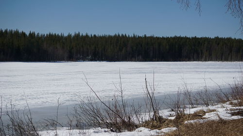 Scenic view of snowy field against sky