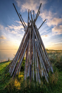 Wooden piles