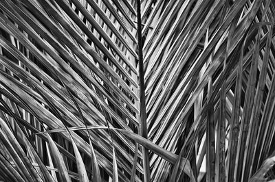 Low angle view of built structure