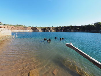 Scenic view of lake against clear blue sky