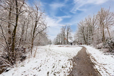 Snow covered road amidst bare trees against sky