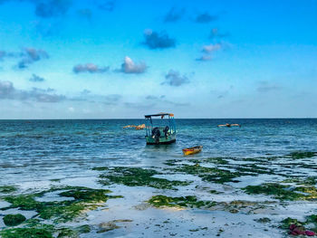 Blue paradise from zanzibar