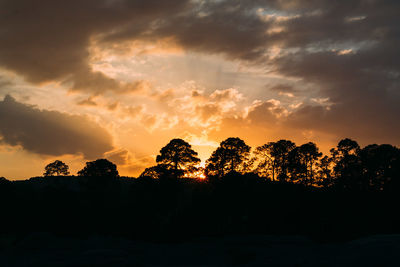 Low angle view of silhouette trees against sky during sunset