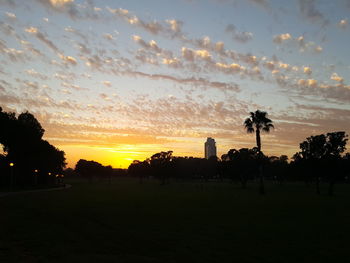 Silhouette trees on field against sky at sunset