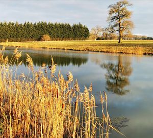 Scenic view of lake against sky