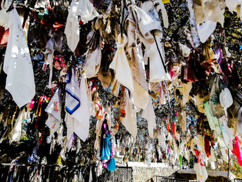 Multi colored flags hanging on tree