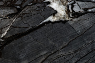 High angle view of wood on tree