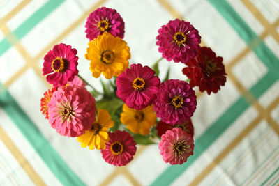 Close-up of flowering plants