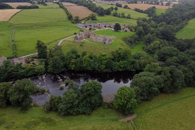 Scenic view of agricultural field