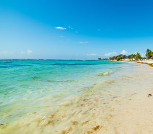 Scenic view of sea against blue sky