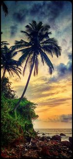 Palm tree by sea against sky during sunset