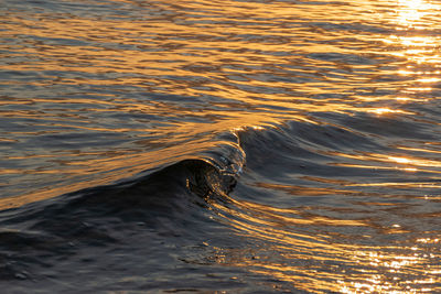 Close-up of water