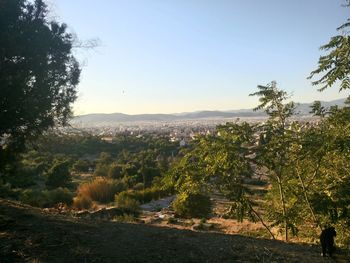 Scenic view of landscape against clear sky