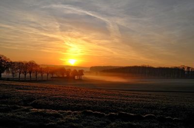 Scenic view of agricultural field against sky during sunset