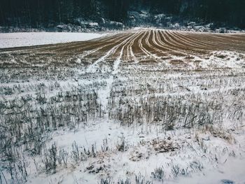 Scenic view of snow covered landscape