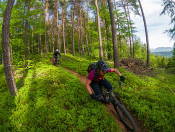 A young woman and a young man riding their mountain bikes on a singletrail near klagenfurt, austria.