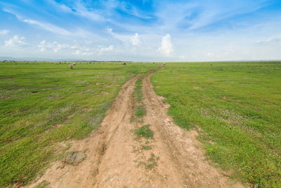 Scenic view of landscape against sky