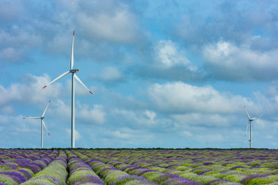 Windmill on field against sky