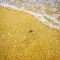 High angle view of footprints on beach