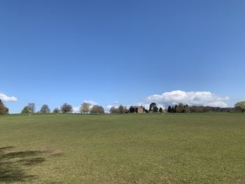 Scenic view of field against blue sky