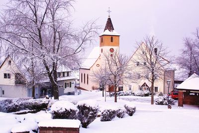 Bare trees in front of church during winter