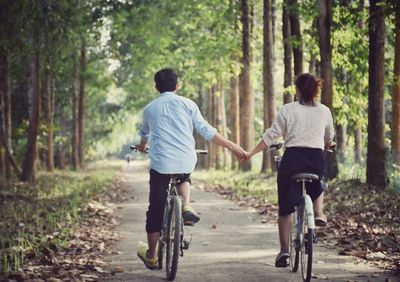 Rear view of couple holding hands while riding bicycle amidst trees