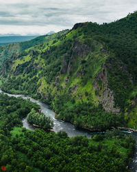 Scenic view of river amidst trees against sky