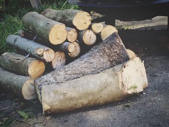 Stack of logs