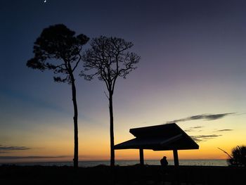 Silhouette tree on beach against sky during sunset