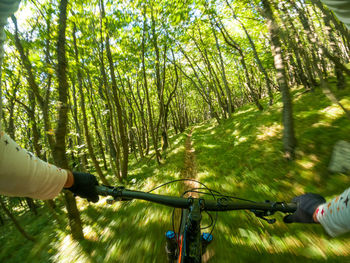 Man riding bicycle in forest