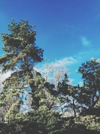 low angle view