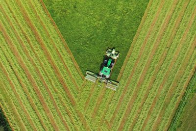 High angle view of people in field