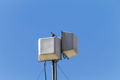 Low angle view of bird perching on cable against sky