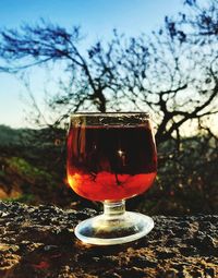 Close-up of wine glass on table against trees