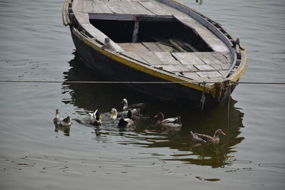 High angle view of ducks swimming in lake