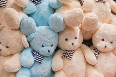 Close-up of teddy bears