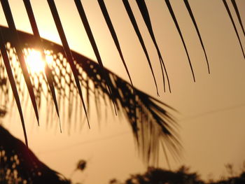 Close-up of silhouette palm trees against sky during sunset