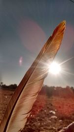 Close-up of sun during sunset