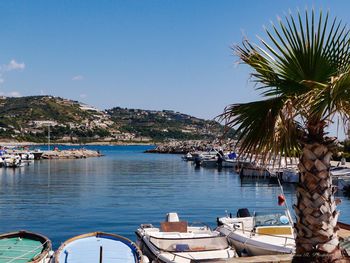 Sailboats moored in sea against clear sky