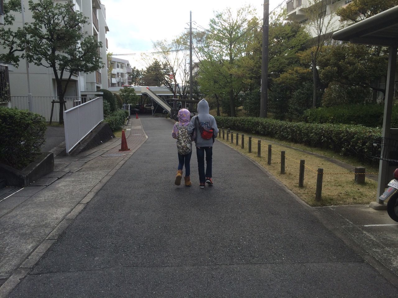 tree, full length, lifestyles, leisure activity, casual clothing, the way forward, walking, built structure, building exterior, street, architecture, rear view, men, transportation, road, boys, childhood