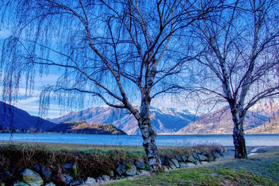 Bare trees by lake against sky