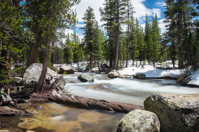Scenic view of river at yosemite national park