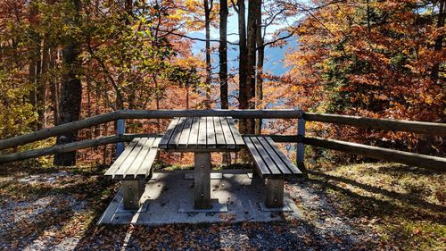 Trees in park during autumn