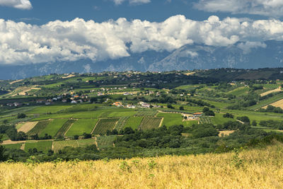 Scenic view of agricultural field against sky