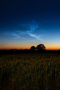 Scenic view of field against blue sky