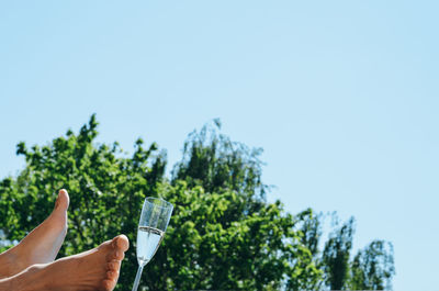 Low section of person by champagne flute against clear sky