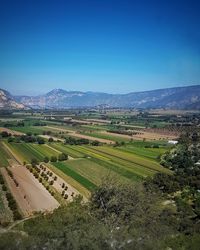 Scenic view of agricultural field against clear sky