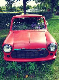 Red car in park